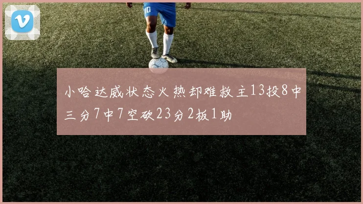 小哈达威状态火热却难救主13投8中三分7中7空砍23分2板1助