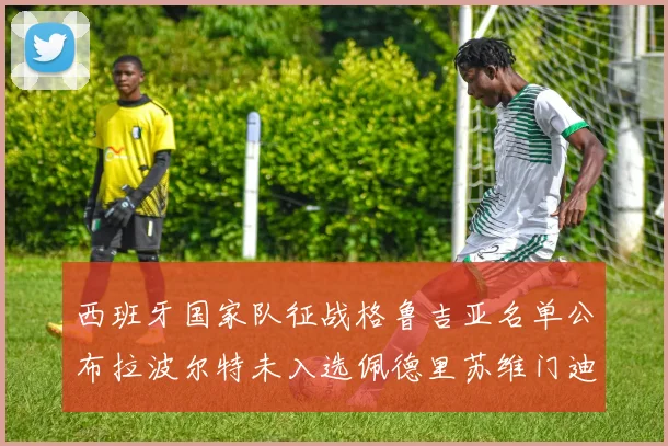 西班牙国家队征战格鲁吉亚名单公布拉波尔特未入选佩德里苏维门迪在列